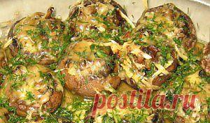 "Пьяные" грибы |