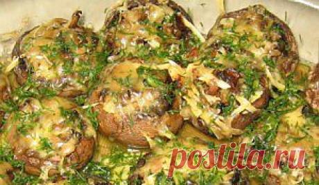 &quot;Пьяные&quot; грибы |