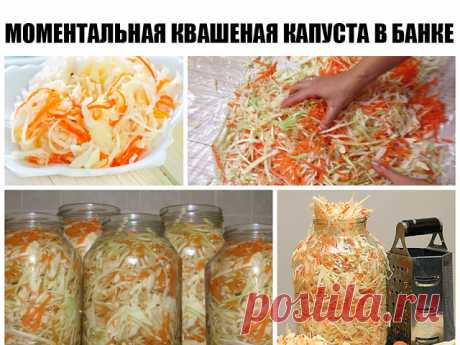 Моментальная квашеная капуста в банке - просто бесподобный рецепт!

Поедается моментально!

Мой рецепт моментальной квашенной капусты в банке.
Получается очень быстро, делается очень просто, а поедается моментально Можете мне поверить. Каждый год я делаю много банок за сезон и всегда ничего не остается.
И так что нужно: капуста белокачанная, морковь, соль, сахар или мед, охлажденная кипяченая вода, банка трехлитровая и желание,, конечно. Количество капусты, если не хватит,...