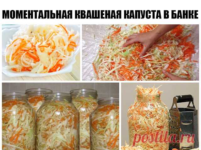 Моментальная квашеная капуста в банке - просто бесподобный рецепт!

Поедается моментально!

Мой рецепт моментальной квашенной капусты в банке.
Получается очень быстро, делается очень просто, а поедается моментально Можете мне поверить. Каждый год я делаю много банок за сезон и всегда ничего не остается.
И так что нужно: капуста белокачанная, морковь, соль, сахар или мед, охлажденная кипяченая вода, банка трехлитровая и желание,, конечно. Количество капусты, если не хватит,...