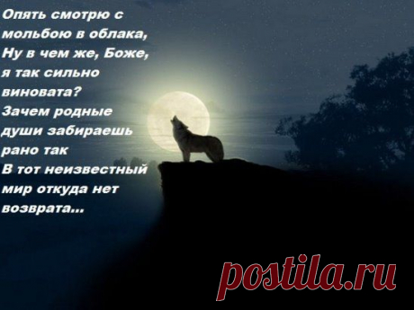 (81) Pinterest