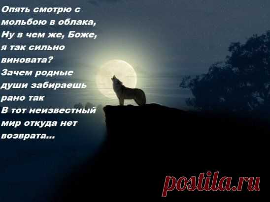 (81) Pinterest