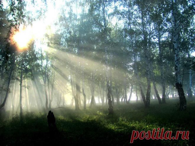 ФОТОМАСТЕРСКАЯ ПРИРОДЫ
Владимир Фефелов