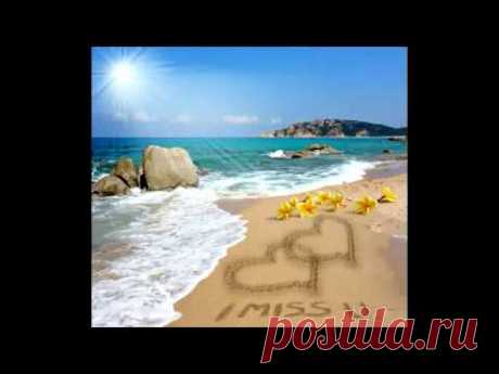 lasha gogia