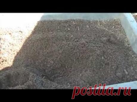 Мини- фабрика компоста в своем огороде, за пять месяцев