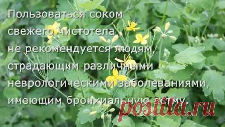 Удаление папиллом. Быстро и безболезненно.