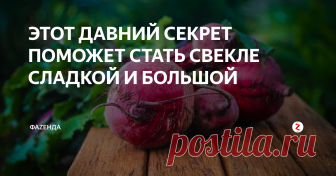 ЭТОТ ДАВНИЙ СЕКРЕТ ПОМОЖЕТ СТАТЬ СВЕКЛЕ СЛАДКОЙ И БОЛЬШОЙ Этим способом пользовалась еще моя пробабушка, которая была очень опытной дачницей всегда. Борщ и салаты из ее свеклы получилась просто изумительными.