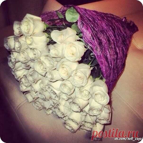 Людмила Ширкова