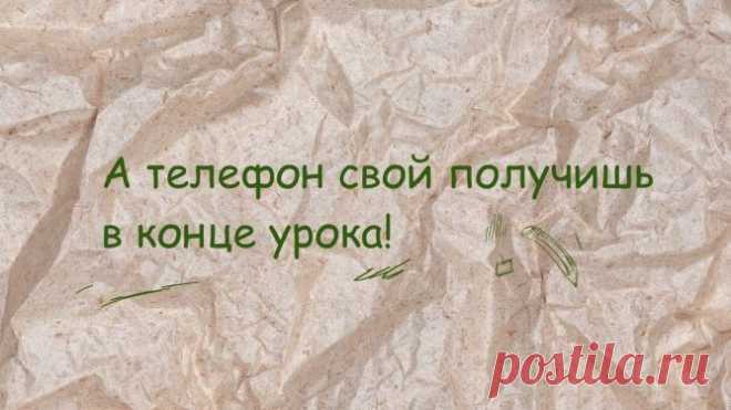 Самые популярные фразы наших школьных учителей :: Imenno.ru