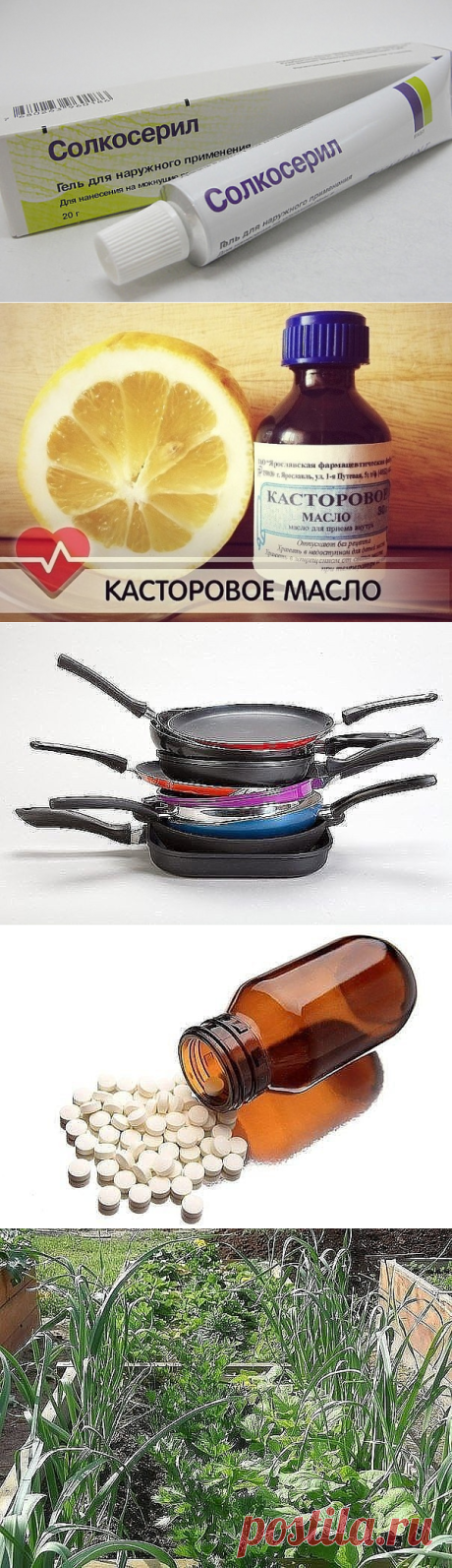 ЖЕНЩИНАМ В ВОЗРАСТЕ ВМЕСТО БОТОКСА!!!
И ДР. СОВЕТЫ.....