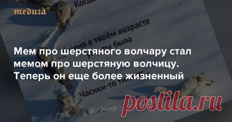 В феврале выяснилось, что волк из мема про шерстяного волчару с мощными лапищами на самом деле волчица. Это привело к тотальному переосмыслению (и осовремениванию!) оригинального мема.