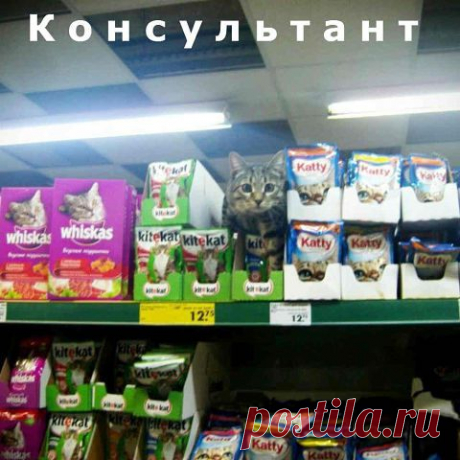 Хи-хи-хи...ржака!
۝λя ✪ Фξя ✪ λюЂαßųңα ✔