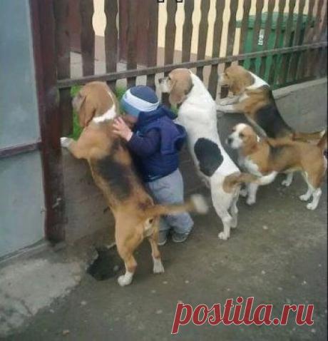 Свой среди чужих