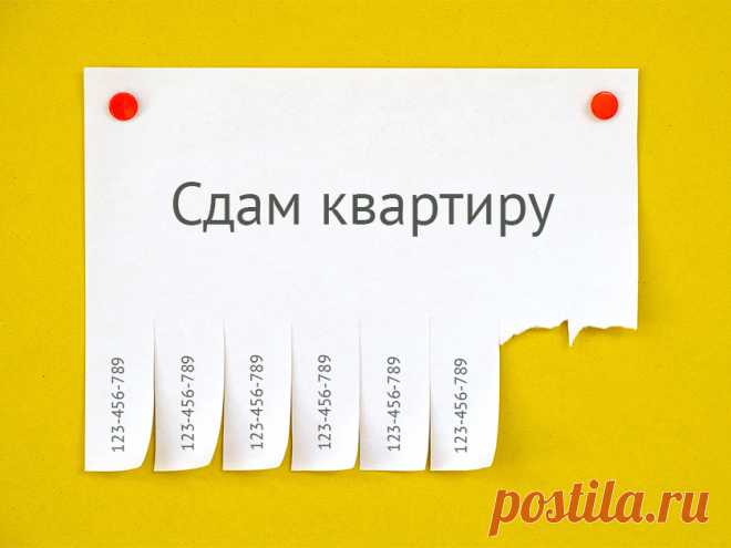 Сдал квартиру и спи спокойно: налоговый ад отменяется | Банки.ру