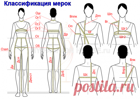 Мерки для выкройки. Как правильно снять мерки. Измерение фигуры.