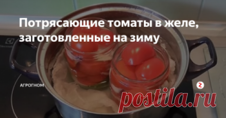 Потрясающие томаты в желе, заготовленные на зиму Консервированные томаты в желе, приведут в полный восторг не только членов вашей семьи, но и гостей. Причем на праздничном столе их можно уложить красивой башенкой, и они будут довольно долго держать свою форму.
Для рецепта рекомендуется использовать томаты небольшого размера, и если не черри, то тогда сорта «Сливка», причем и их следует выбирать как можно меньше. Рецептов приготовления этой загот