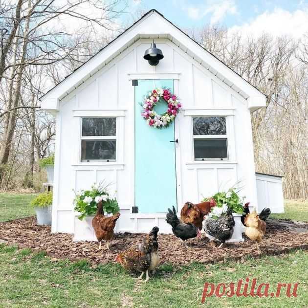12 необычных идей для создания курятников, которые станут гордостью вашего участка | Design-homes.ru Пульс Mail.ru
