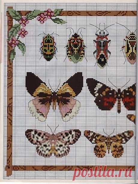 (640) motyle, owady | cross stitch garden