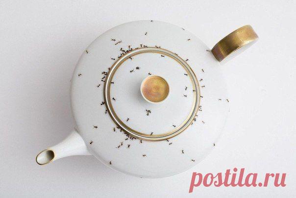 Мне кажется мало кто захотел бы пить чай из такого сервиза