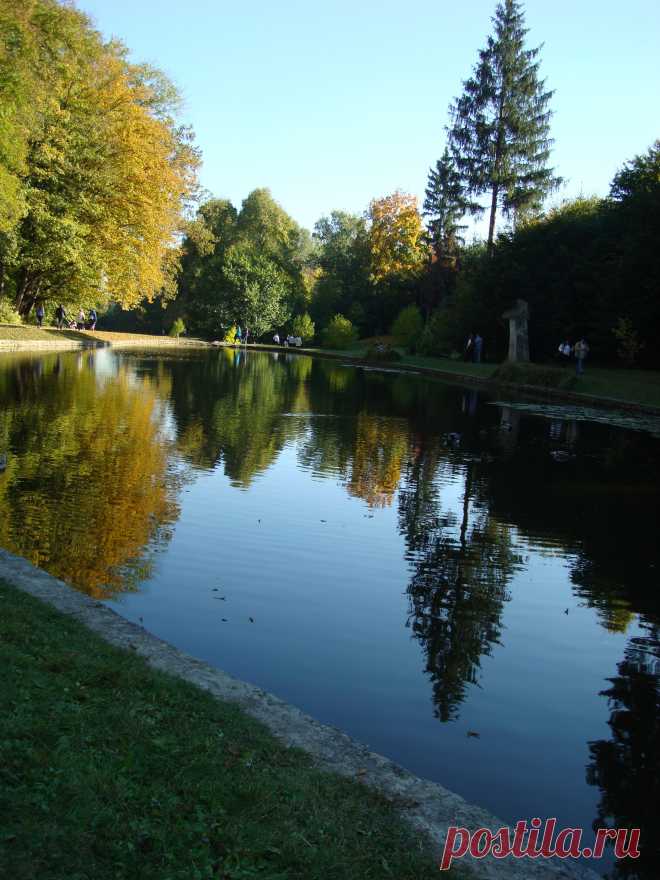 Лесное озеро