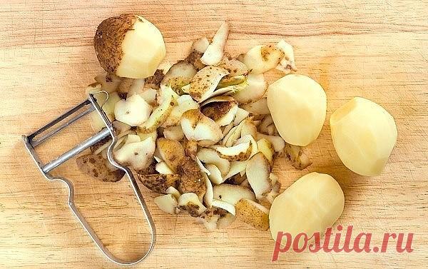 КАРТОФЕЛЬНАЯ КОЖУРА – ЛУЧШЕЕ УДОБРЕНИЕ ДЛЯ РАСТЕНИЙ

Картофельная кожура является хорошим удобрением для растений, поэтому не поленитесь за зиму ее насушить.

Картофельные очистки – это источник крахмала, калия и других минеральных веществ. Это эффективное органическое удобрение для растений и надежная защита сада и огорода от колорадского жука, слизней и проволочника.

Картофельные очистки очень любят смородина, крыжовник, малина и клубника. Благодаря им ягоды становятся ...