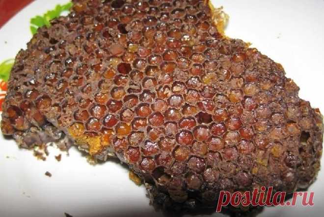 ПЕРГА ПЧЕЛИНАЯ - ПОЛЕЗНЫЕ СВОЙСТВА, ПРИМЕНЕНИЕ

Перга – еще один замечательный продукт пчеловодства. Она является не чем иным, как консервированной пыльцой. Процесс ее образования одновременно очень прост и довольно сложен. Пчелы счищают со своих телец собранную пыльцу смачивая ее собственными слюнными выделениями смешанными с нектаром. Получившуюся в результате смесь насекомые утрамбовывают в соты, а затем заливают ее медом.
Плотно спрессованная пыльца, лишенная доступа к...