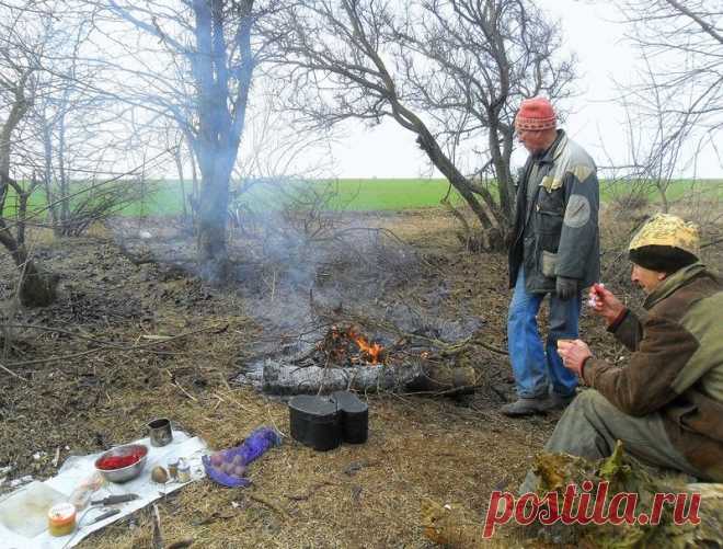 Кубань зимняя... с велосипедом - 14 Ноября 2015 - Персональный сайт