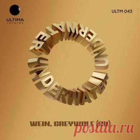 Wein, Greywolf (RU) - Underwater | Progonlymusic Wein, Greywolf (RU) - Underwater. BPM: 123. Key: G. Listen new music on Progonlymusic.