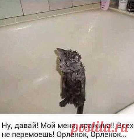 Блог пользователя Андрей * - МирТесен