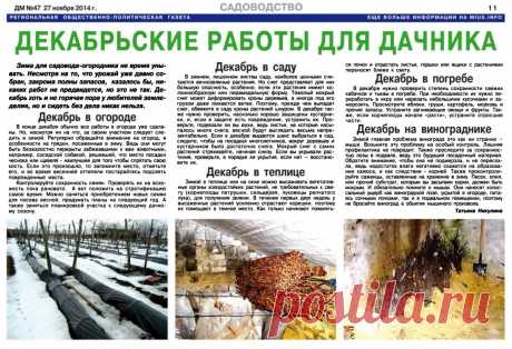 Декабрьские работы дачника