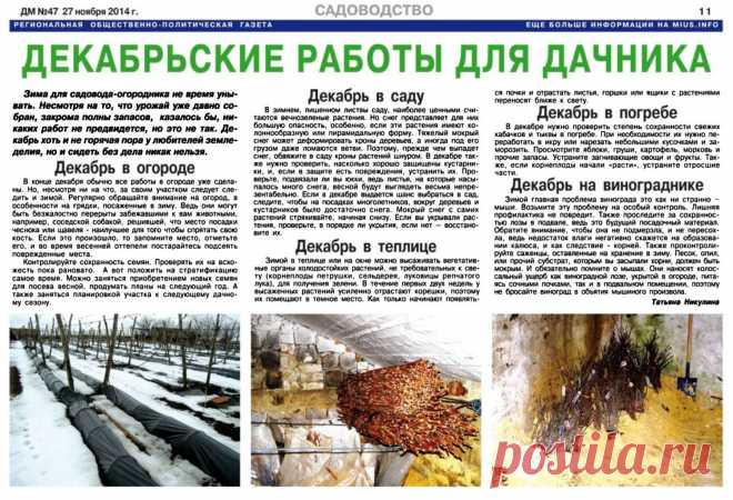 Декабрьские работы дачника