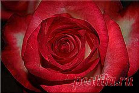 Аффирмации на Каждый День / 29 марта 2014 г. - svetlana.vashuk61@mail.ru - Почта Mail.Ru