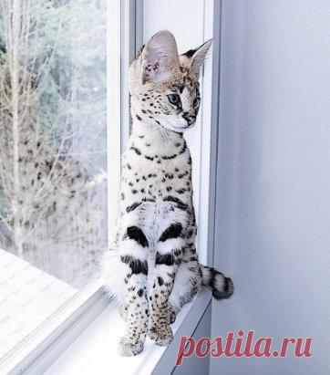 Снежная красота!!!