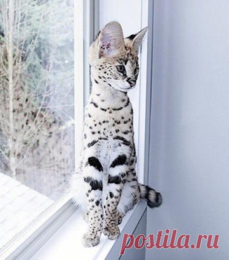 Снежная красота!!!