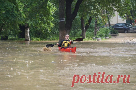 (3) Photos from Николай Тютюнник's post - Николай Тютюнник