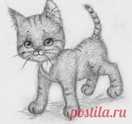 Рисуем кошечку