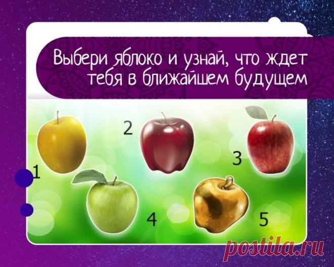 Выбранное яблоко расскажет человеку, что его ожидает в ближайшем будущем