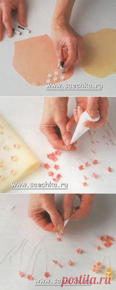 Цветы из сахарной помадки с помощью плунжерной формы | рецепты на Saechka.Ru