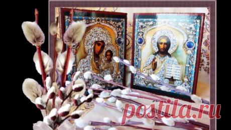 (7) Одноклассники