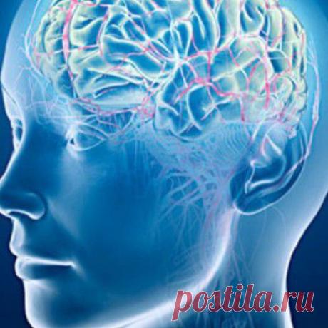 Как улучшить работу мозга?. -деньги - ваш стабильный