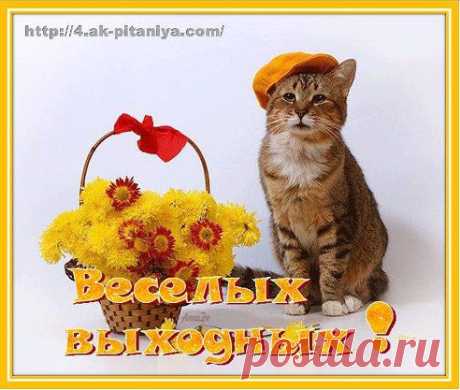 Желаю классных выходных,
Улетных, радостных, шальных,
Веселых, замечательных,
Ну, просто сногсшибательных!
СОХРАНИТЬУстановить себе

Жми Класс чтобы и Ваши Друзья увидели Нас !
СОХРАНИТЬУстановить себе