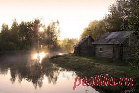 Красота спасает мир.