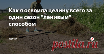 Как я освоила целину всего за один сезон 