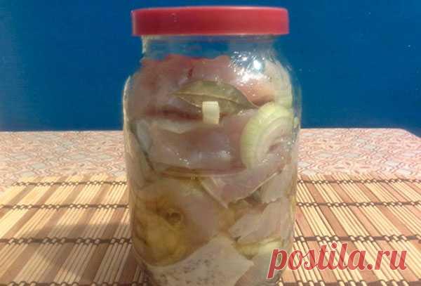 Рецепт засолки толстолобика в стеклянной банке