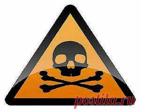 Самые опасные пищевые добавки