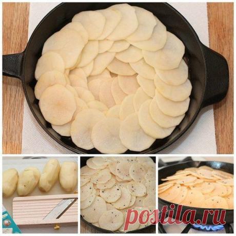 Картофель «Анна»