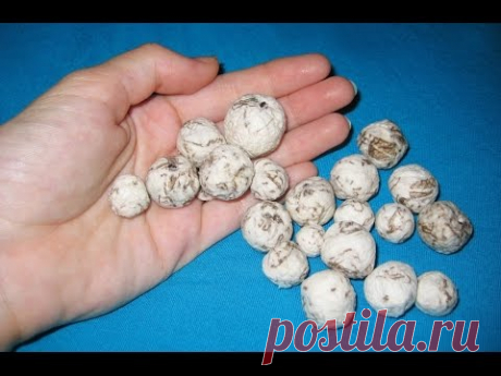 DIY Бусины из салфеток.  Мастер-класс \ Beads of napkins