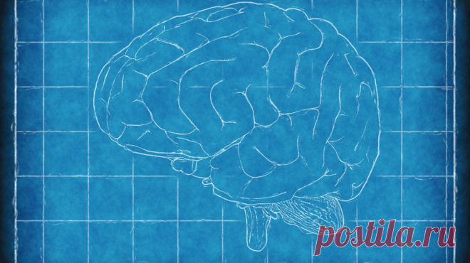 Шпаргалка по когнитивным искажениям. Потому что думать трудно (часть 2) Почему мы верим в свое превосходство, плохо планируем время, помним то, чего не было, и совершаем другие ментальные ошибки? Как мозг обманывает нас и зачем он это делает? Публикуем вторую часть статьи блогера Бастера Бенсона о когнитивных искажениях —