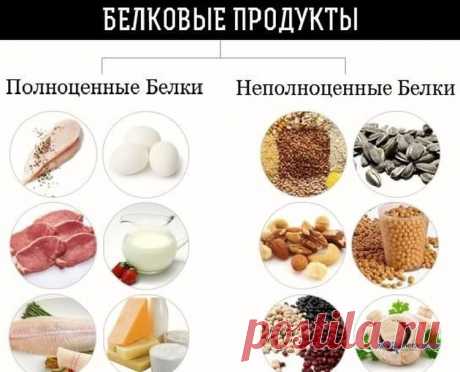 белки список продуктов