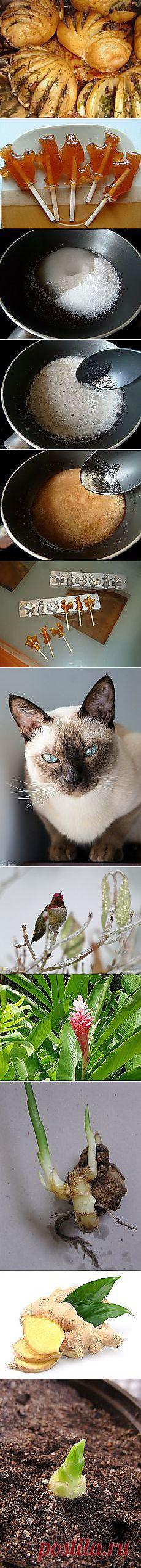 Блестки в джинсах (DIY) и другие материалы. Новое в Вашей подборке на Постила.ru - gulyaevalubov@mail.ru - Почта Mail.Ru